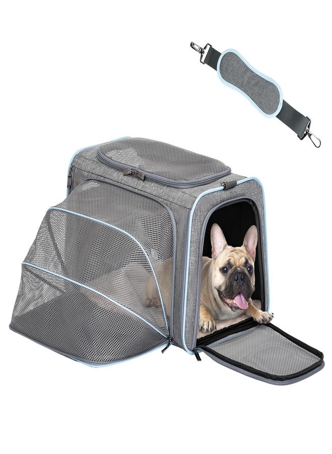 Petsfit Expandable Pet Carrier, 19x12x12 inches Soft-Sided Portable Cat Carrier Dog Carrier, with Removable Plush Mat, Locking Safety Zippers and Pockets